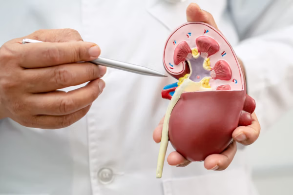 🔎 Causes of Kidney Failure: Prevention and Treatment Methods with Doctors from the Dialey’s Care Center for Hemodialysis